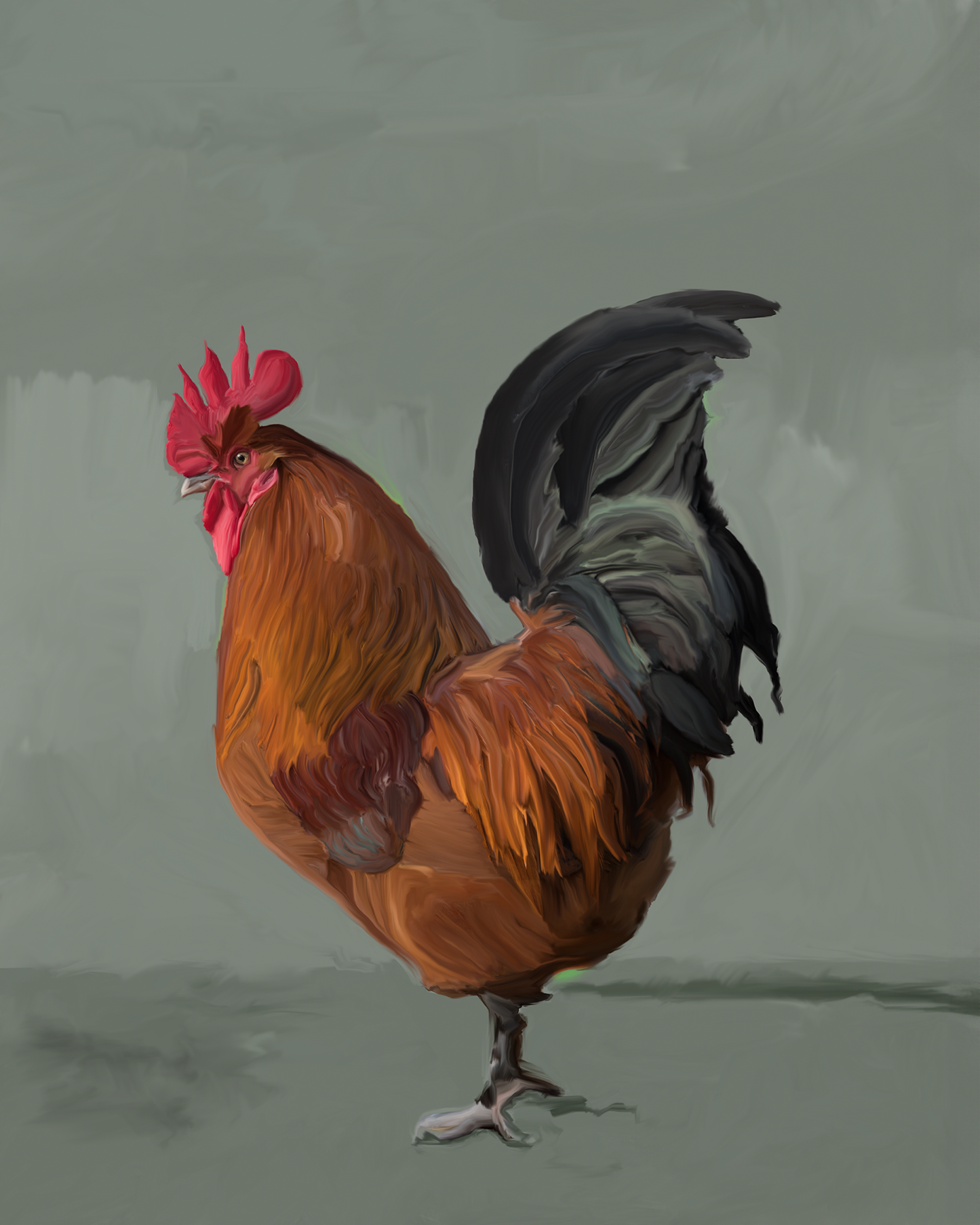 Cockerel