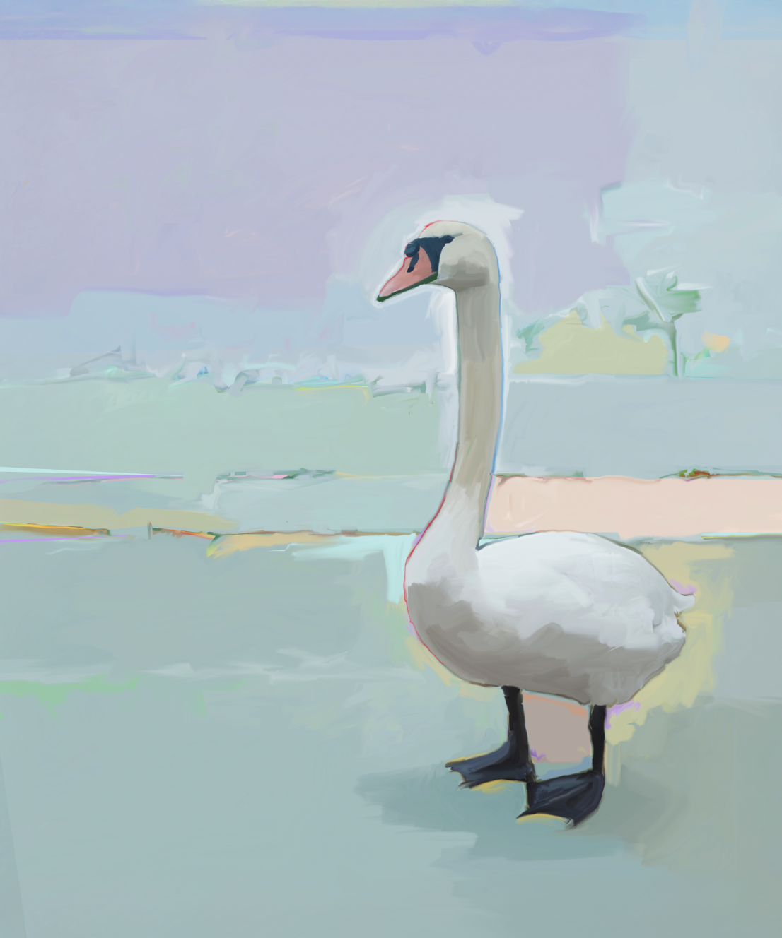 Swan