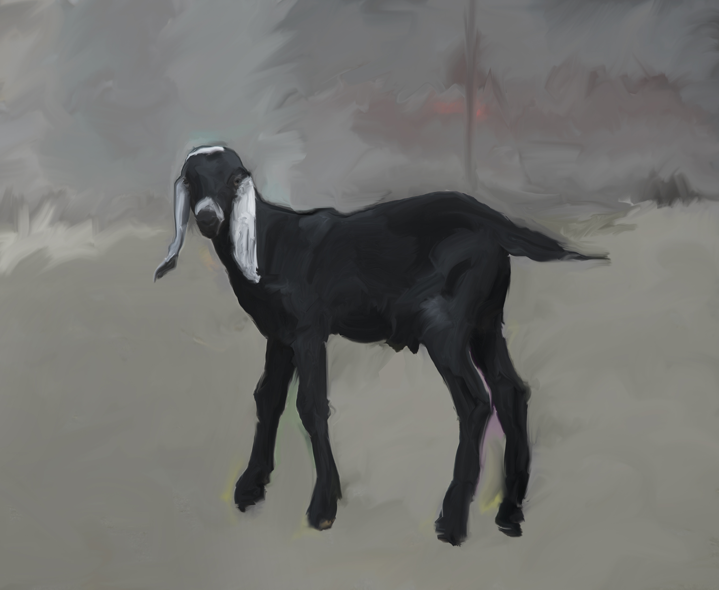 Kid (Zeus)