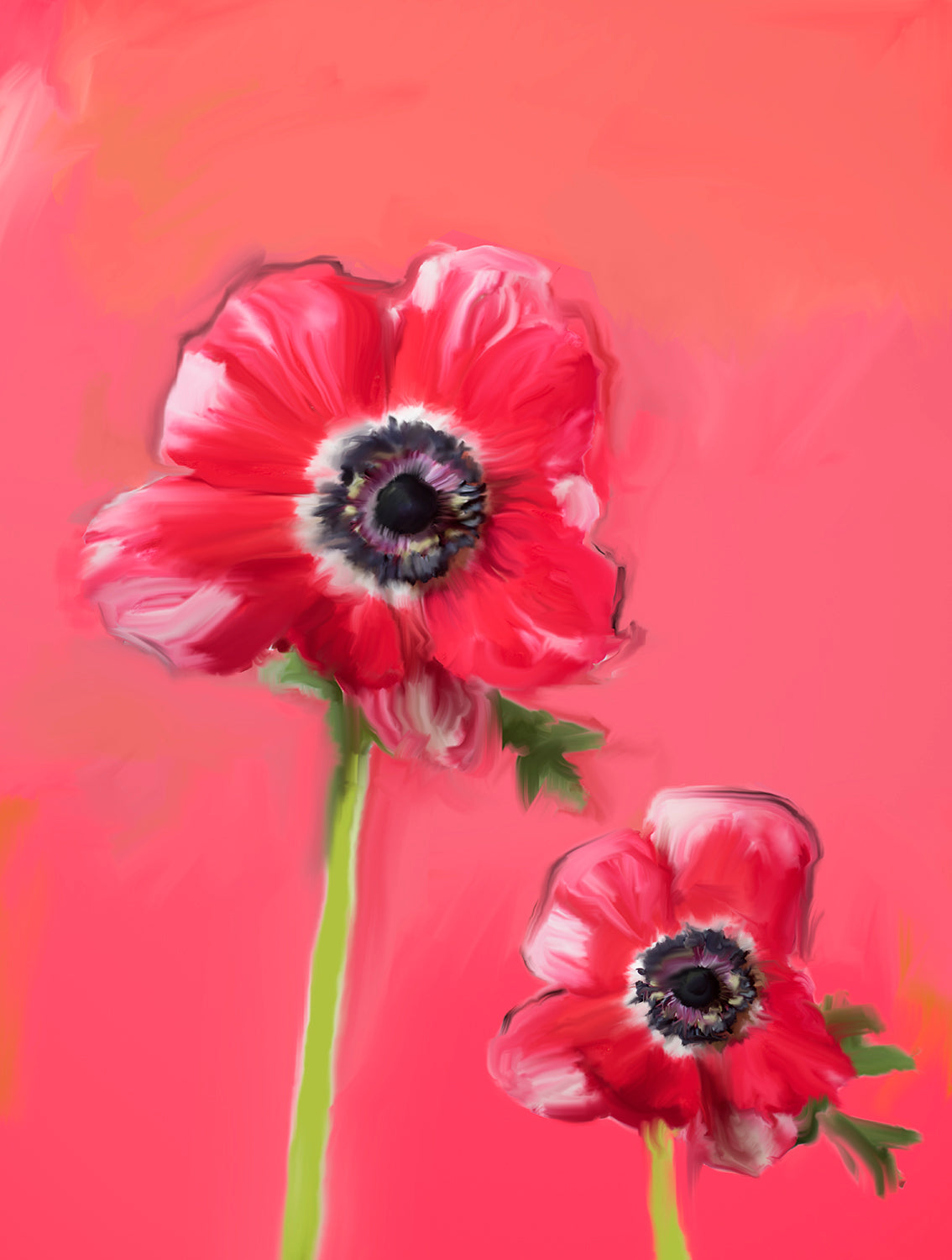 Poppies